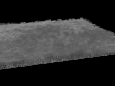 Fluffy Carpet 3D model