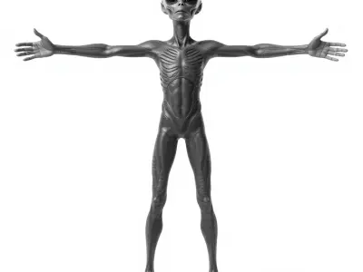 Grey Alien Character model pack Low-poly 3D model