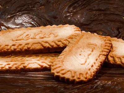 Lotus biscuit Free 3D model