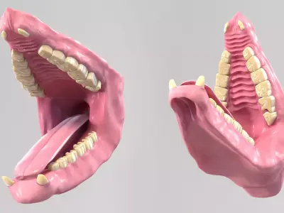 Rhino Mouth 3D model