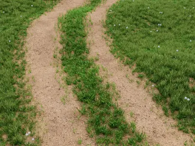 Grass For Landscaping Exterior 02 3D model