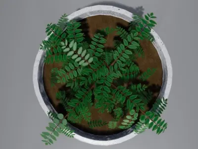 Street plant Low-poly 3D model