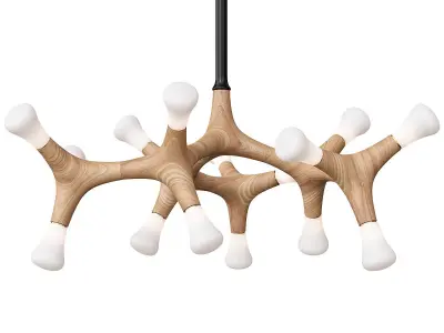 Root Anzazo-P5 3D model