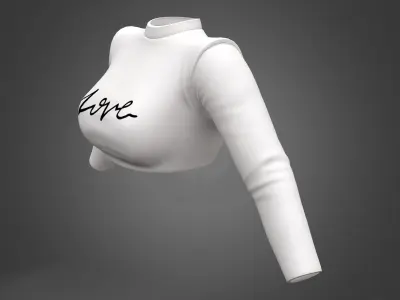 Long Sleeves Round Neck Crop Top Low-poly 3D model