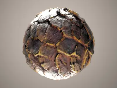 10 Materials Skin Dragon Seamless PBR Volume 20 Texture