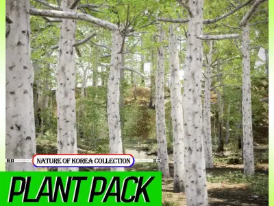 Korean Street Plant - 5 Korean Aspen Conifer Tree Low-poly 3D model