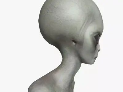 Super-Realistic grey Alien 3D Animation - Running Forward Fli 3D model