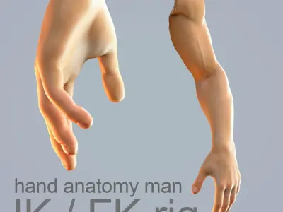  hand anatomy man 