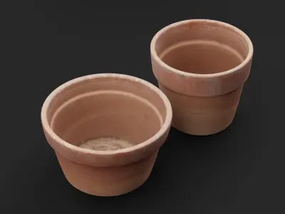 Flower Pot 3D model