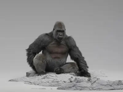  Gorilla RIGGED 