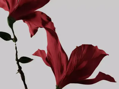 Hibiscus Low-poly 3D model