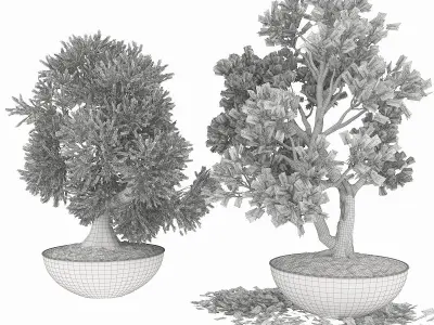 Collection Small tree 1 Free 3D model