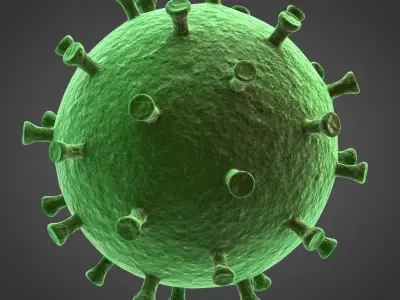 CORONAVIRUS  2019-Covid Free 3D model