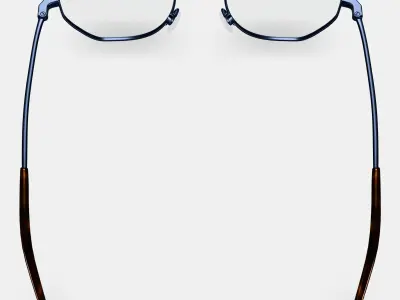 Dupree Eyeglasses in Brushed Ink 3D model