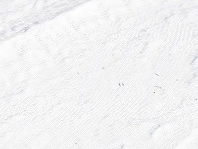 Dazhou China City Landscape 3D Model 3D model