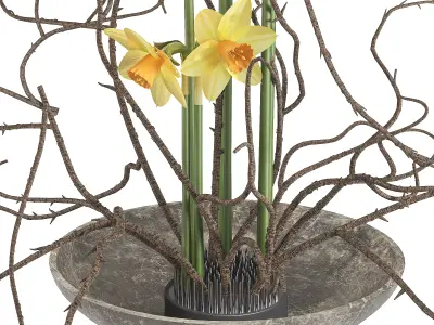 Daffodils Dry Twisted Branch Bouquet 3D model
