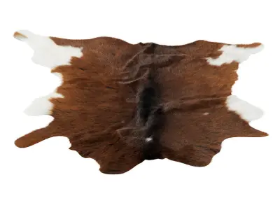 Animal skin rug 13 3D model