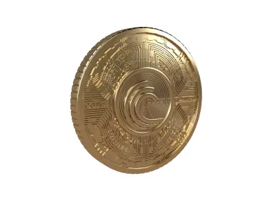 BitTorrent Coin v6 003 3D model