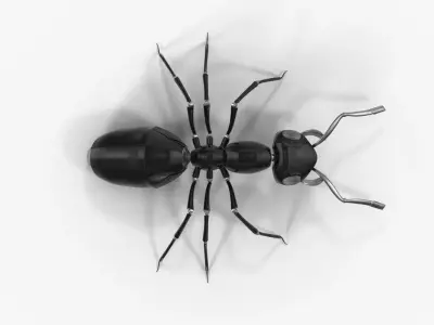 Black Mechanical Ant 3D model