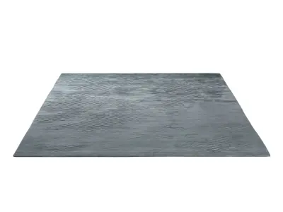 Scales River rug 3D model