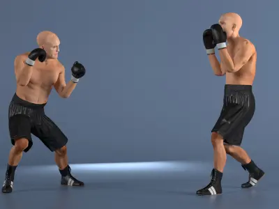  Male Boxer Figure Rigged 