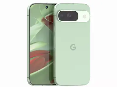 Google Pixel 9 Wintergreen 3D model