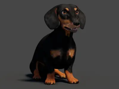  Rigged Black Dachshund Dog 3D Model 