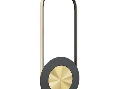Gong Wall lamp Low-poly 3D model