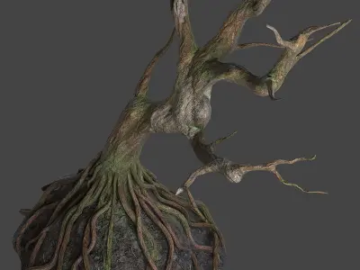  Old tree 3D model