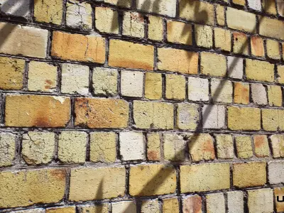 Bricks 10 - Scanned Materials Texture Texture