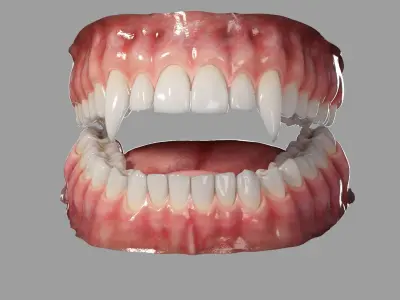  Realistic Rigged Vampire Teeth Mouth 