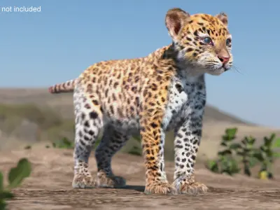  Leopard Cub Clawing Motion Fur Animated Rigged 