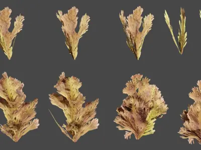 Ocean 4K 3d Plant 3D model