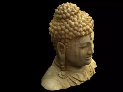 Game Model - Kashayana Buddha Forest Crown 2 3D model
