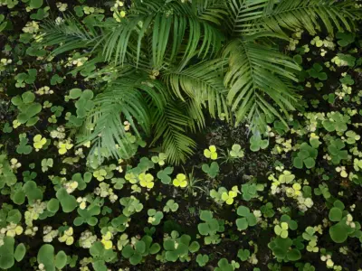 Tropical Forest Low-poly 3D model