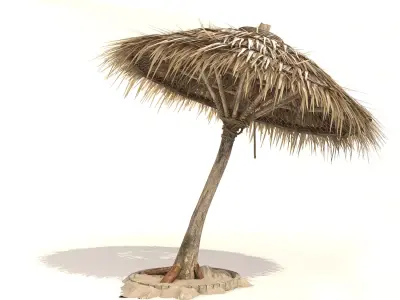 Beach Thatched Umbrella 3D model