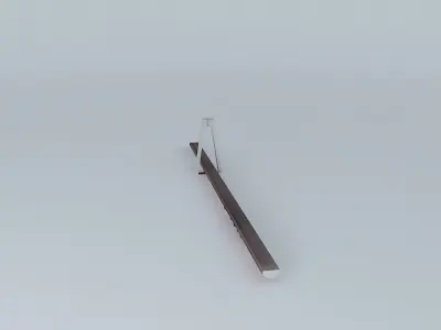 Real bridge Badajoz Free 3D model