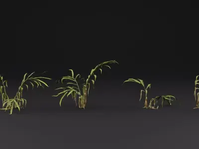 Ginger plant 3D model