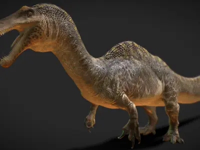 Irritator challengeri Low-poly 3D model