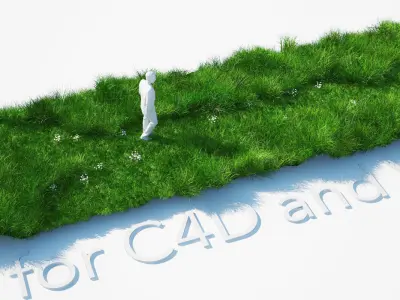 Grass Kit III for C4D and Vray 3 3D model