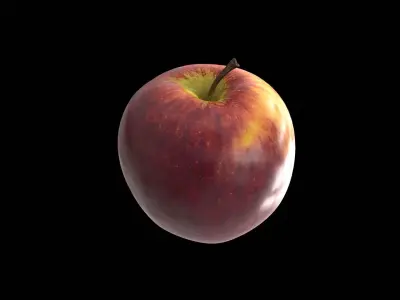 New Zealand Red Apple 3D model