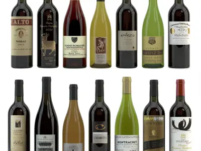  Wine Set of 14 bottles and 12 different wine glasses, tray, wine holder \ stand (Vray and Corona render) 