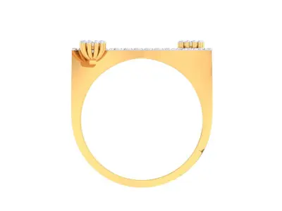 Light Wt Ring - 83 3D print model