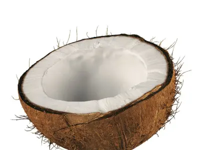 4k scanned coconut 02 3D model