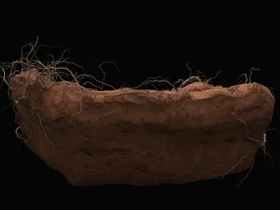 Desert cliff 3D model