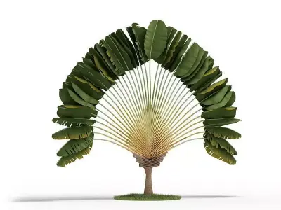 Plant  Green And Leafy 3D model