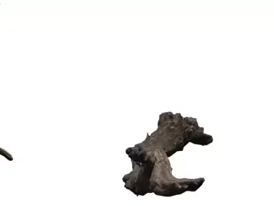 Game Ready Forest Branch and Log Pack Low-poly 3D model