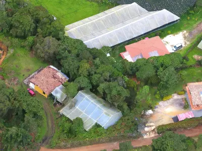 Farm in the highlands 27 03 2022 3D model