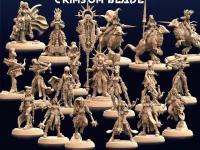 Daughters of the Crimsom Blade - Knight 3D print model