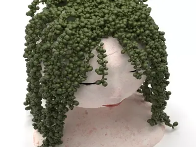 plant-indoor-02 3D model